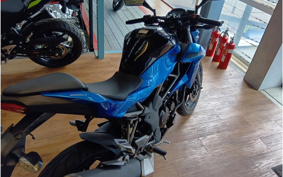 KAWASAKI Z250 SL BR250E