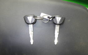 KAWASAKI NINJA 1000 A 2017 ZXT00W