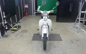 HONDA LITTLE CUB 1989 AA01