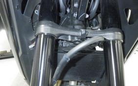 HONDA NX400 2024 NC65