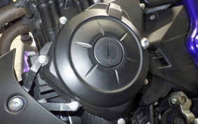 YAMAHA MT-25 2017 RG10J