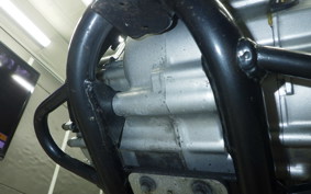 KAWASAKI KLX250 2022 LX250E