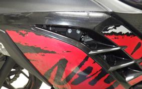 KAWASAKI NINJA 250 EX250L