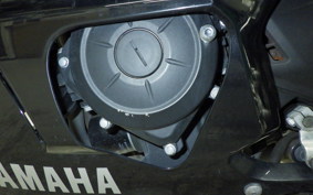 YAMAHA YZF-R25 2019 RG43J
