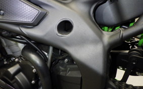 KAWASAKI ZX-4RR 2023 ZX400P