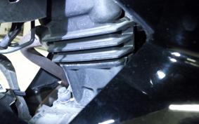 KAWASAKI NINJA 250 ABS EX250L