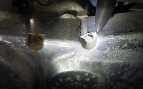 HONDA JAZZ 50 2021 AC09