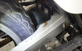 KAWASAKI GPZ250 2021 EX250C