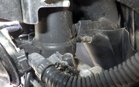 YAMAHA X FORCE SG79J