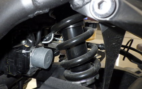 YAMAHA MT-25 A 2016 RG74J