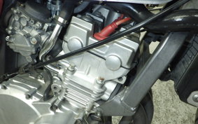 HONDA HORNET 250 MC31