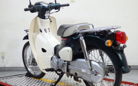 HONDA SUPER CUB50 AA09