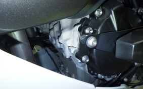 KAWASAKI NINJA ZX-6R A 2024 ZX636J