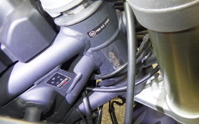 TRIUMPH TIGER 800 XC 2011