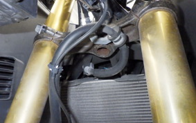 HONDA CBR250RR A 1986 MC51