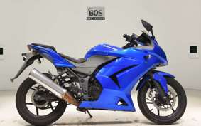 KAWASAKI NINJA 250R 2020 EX250K