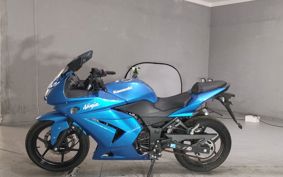 KAWASAKI NINJA250R EX250K