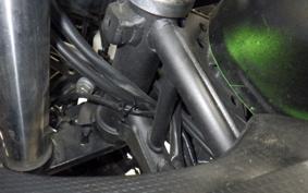KAWASAKI NINJA 250 2 2017 EX250P