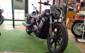 HARLEY  HARLEY RH975 NIGHT  STAR  2022 ZH1