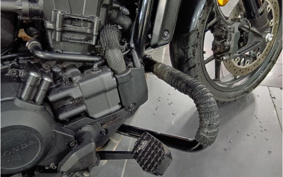HONDA REBEL 1100 DCT 2021 SC83