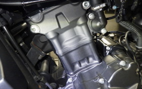 HONDA REBEL 250 S 2024 MC49