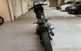 HARLEY FXFBS 2019 YLK