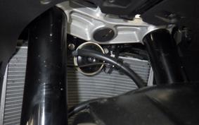 KAWASAKI NINJA ZX-6R A 2026 ZX636J