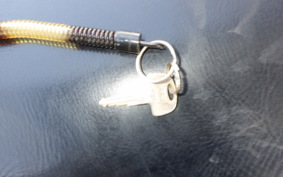 HONDA GYRO CANOPY TA03