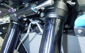 BMW S1000R 2025