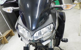 KAWASAKI Z250 Gen.2 EX250P