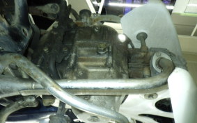 HONDA C50 SUPER CUB 2024 C50