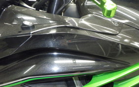 KAWASAKI ZX 1400 NINJA R A 2013
