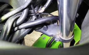 KAWASAKI NINJA 250 ABS 2025 EX250L