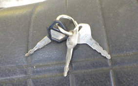 KAWASAKI ZZ-R250 EX250H