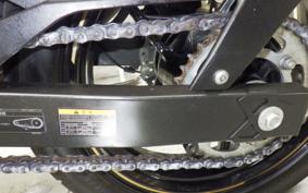 KAWASAKI NINJA 250 EX250P