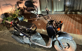 HONDA ZUMAR AF58