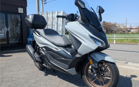 HONDA  FORZA 250 MF17