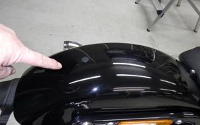 HARLEY FXST1750 2024