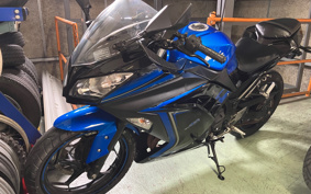 KAWASAKI NINJA 250 EX250L