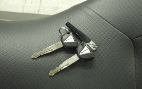 KAWASAKI VULCAN 650 SA 2024 EN650M