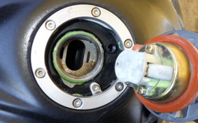 KAWASAKI NINJA 250 EX250L