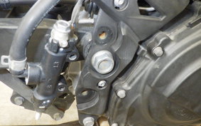 KAWASAKI NINJA 250 2 2020 EX250P