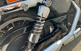HARLEY XL883R 2009 CS2