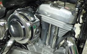 HARLEY XL883LI 2013