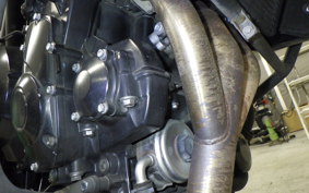 TRIUMPH TIGER 800 2015