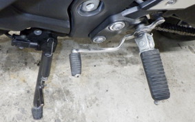 YAMAHA FZ1 FAZER 2013 RN21J