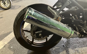 KAWASAKI NINJA 250R EX250K