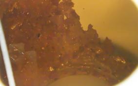 KAWASAKI Z125 PRO 1990 BR125H