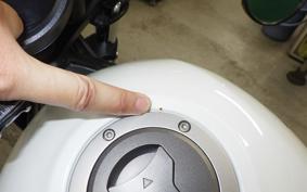 HONDA REBEL 250 A 2026 MC49