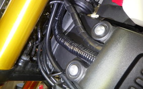 YAMAHA XSR155 2024